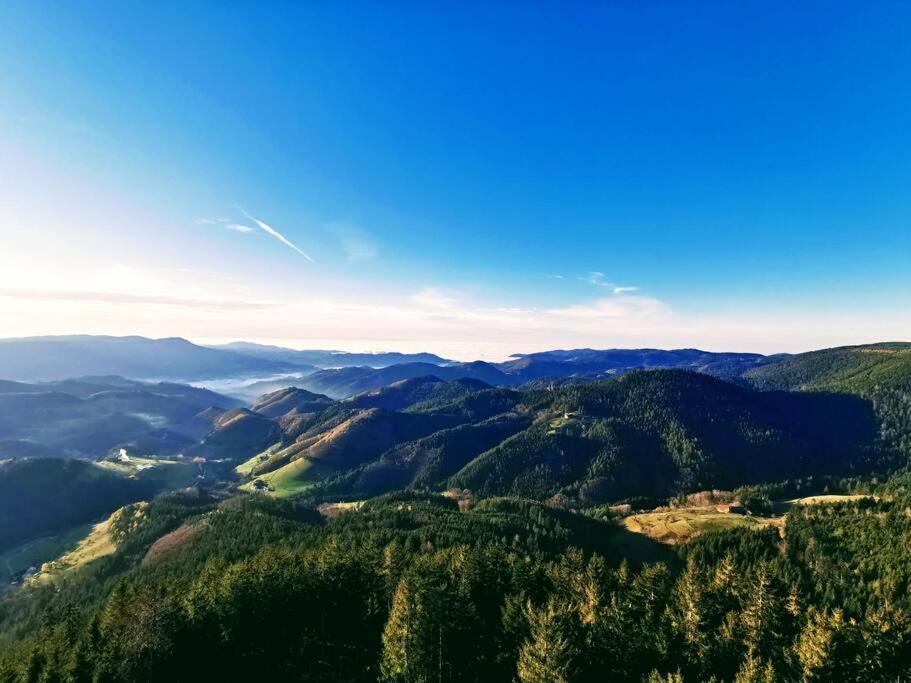 Traumhafte Maisonette-Wohnung Im Schwarzwald Freudenstadt Exteriér fotografie