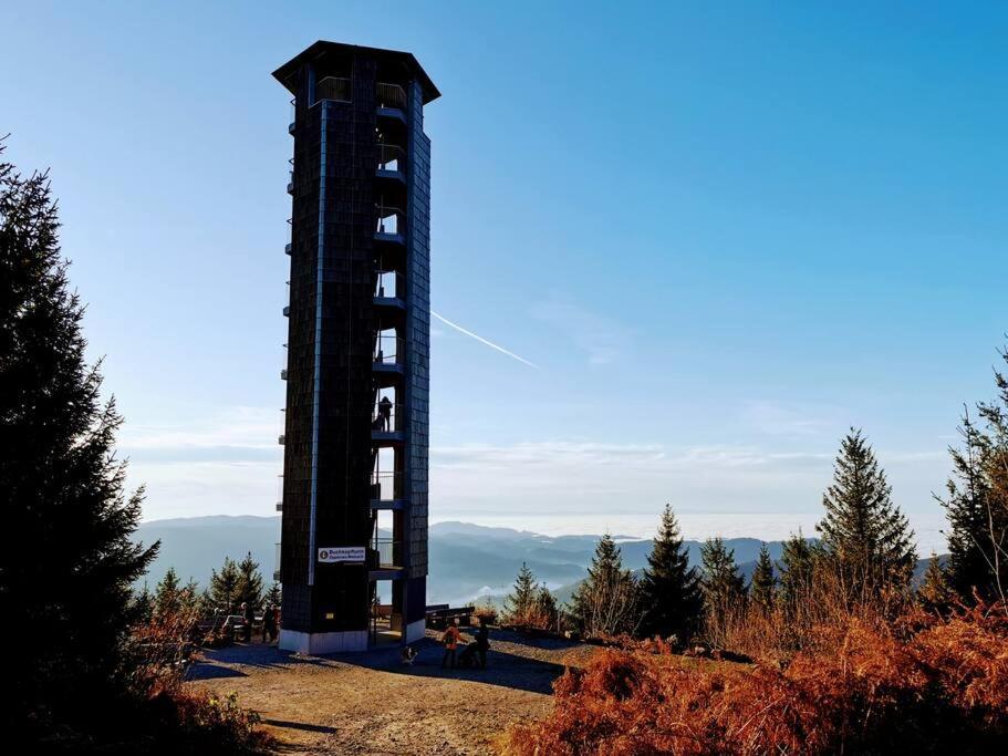 Traumhafte Maisonette-Wohnung Im Schwarzwald Freudenstadt Exteriér fotografie